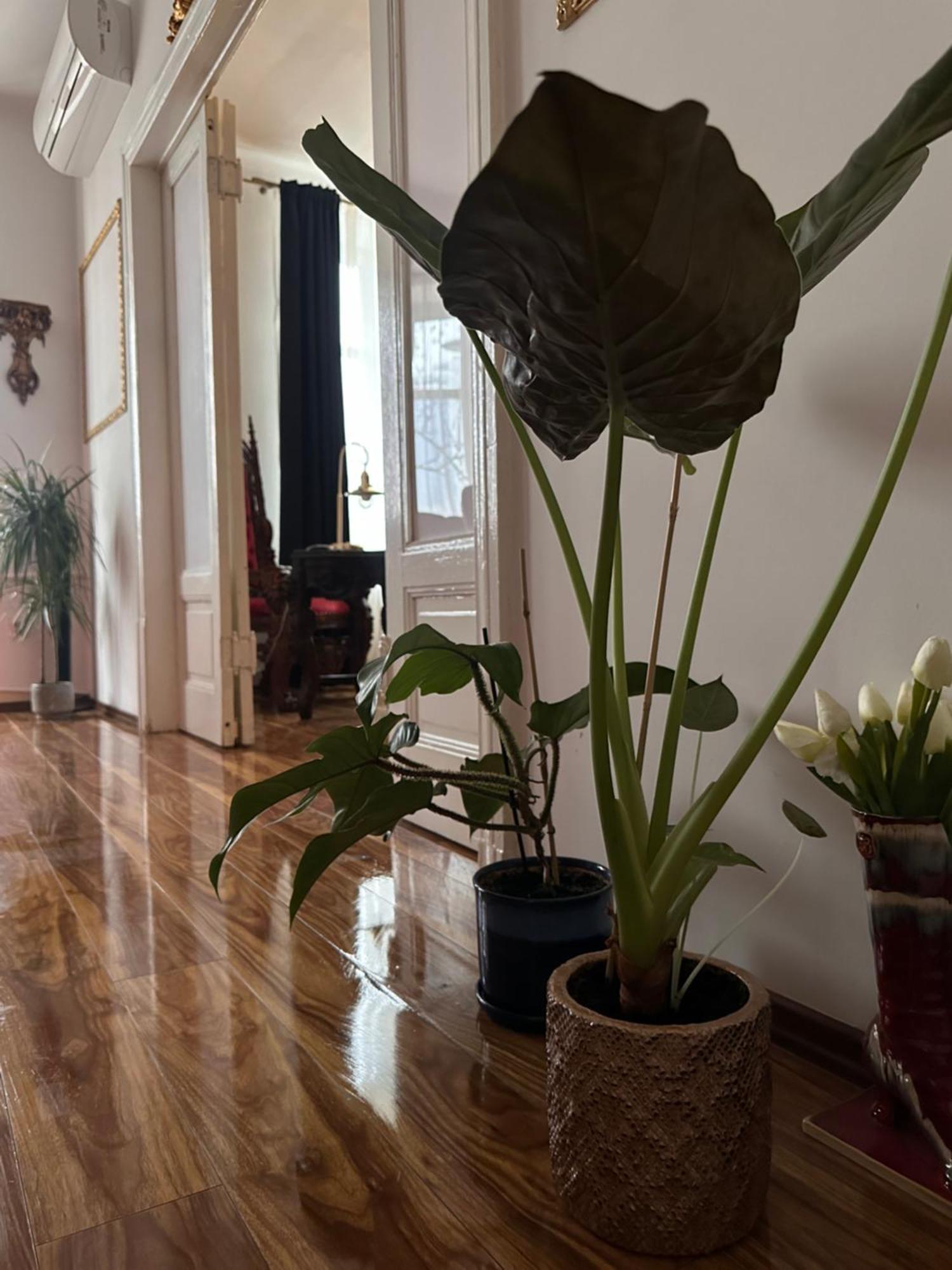 Exclusive Apartment Chmielna Street 95M2 Warszawa Eksteriør bilde